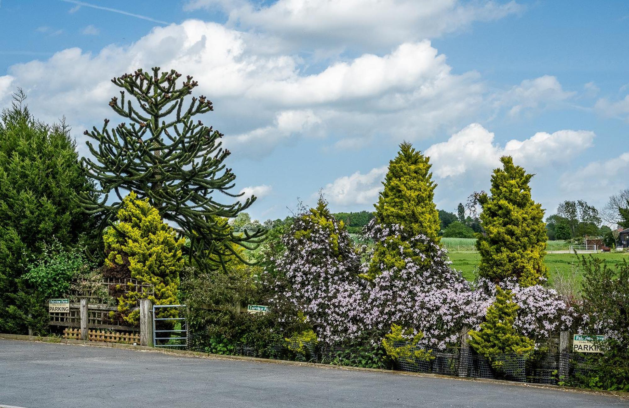 Upside Down House - Sleeps Up To 6 Guests - Great For Family And Friends Gatherings,Corporate Events ,Near Sherwood Forest At Fairview Farm In Nottingham Set In 88 Acres ภายนอก รูปภาพ